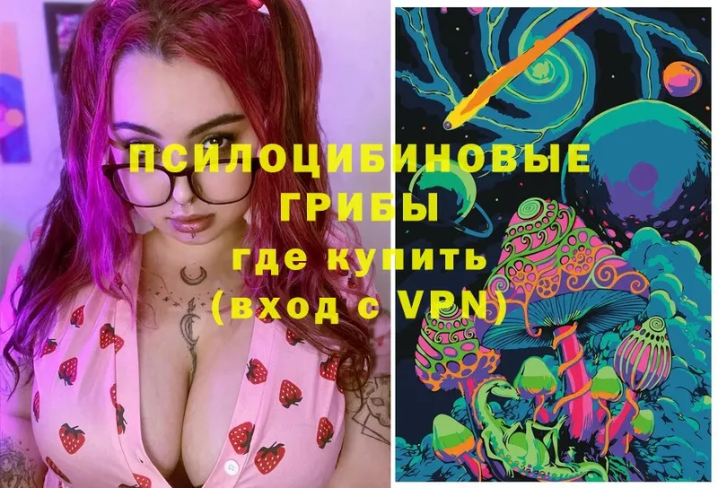 omg сайт  закладки  Коркино  Галлюциногенные грибы мицелий 